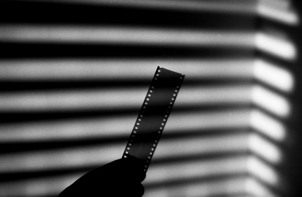 The Horror Genre: What to Expect in Black Mausoleum